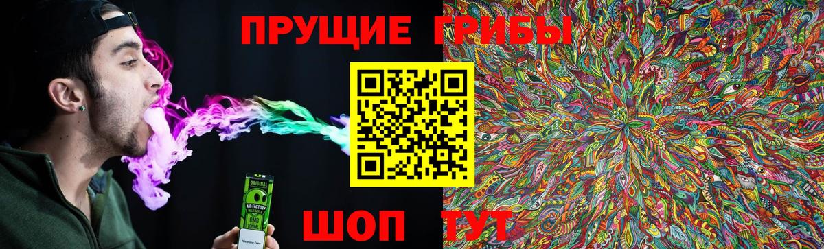 Чистополь  Псилоцибиновые грибы MAGIC MUSHROOMS  Псилоцибиновые грибы ЛСД  Вход с VPN 